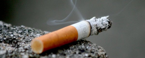 The surgeon general just issued a report calling addiction what it is - a brain disease
