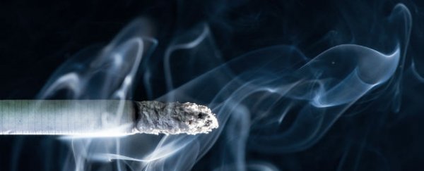 Smoking leads to Y chromosome loss and a higher risk of cancer in men
