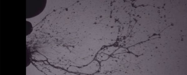 Watch: Slow-motion sneezing is totally gross but helps explain how we get sick