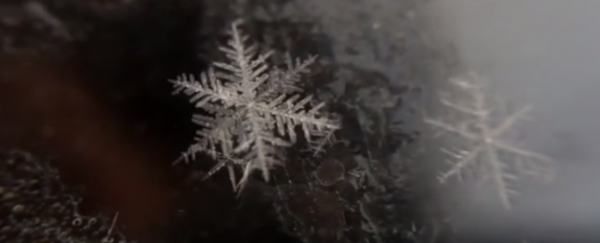 WATCH: Beautiful reverse snowflake formation