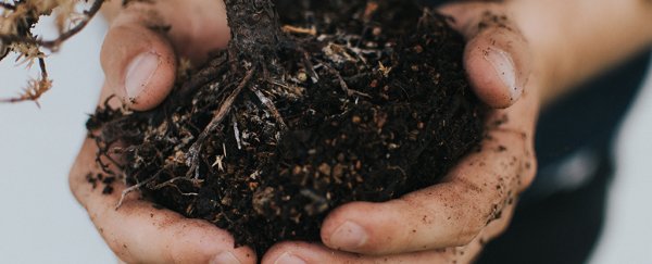 Good news: Soil could be a much larger carbon sink than we hoped