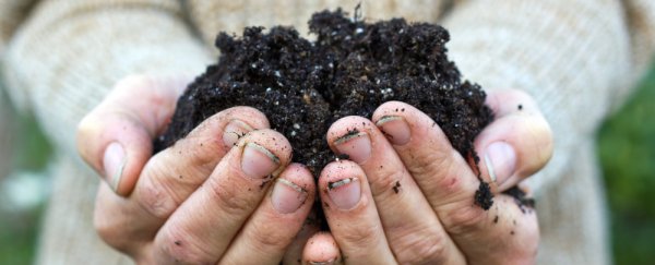 Scientists seeking soil (and bacteria) from your backyard
