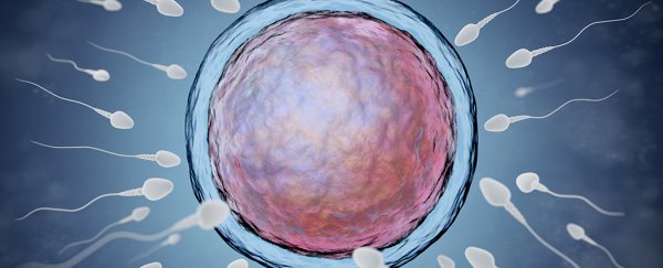 Scientists discover an on/off switch for sperm that could lead to better male contraceptives