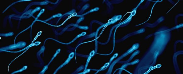 More viruses than we previously thought could be transmitted sexually