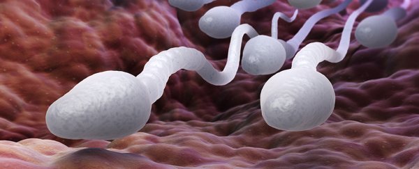 This rub-on male hormonal contraceptive is about to be tested on people