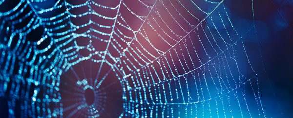 Scientists have invented self-spooling 'liquid wire' that acts like spider silk