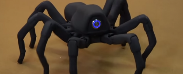 WATCH: Adam Savage's incredible robot spider