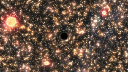 The masses of black holes are more predictable than we thought