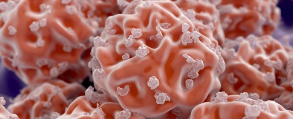 New algorithm points the way towards regrowing limbs and organs