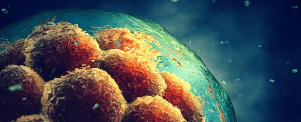 World-first trials have been launched to treat Parkinson's and blindness with embryonic stem cells