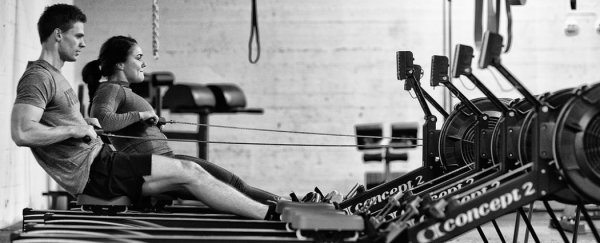 What happens when you stop exercising?