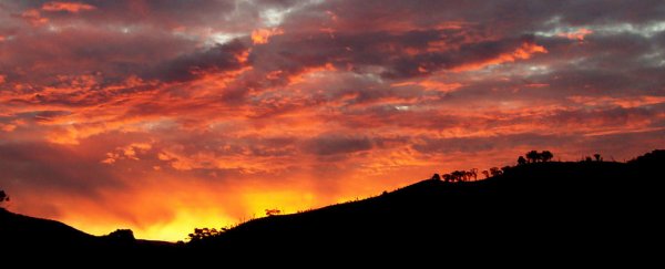 Twilight colours, and not just fading light, help us tell the time of day