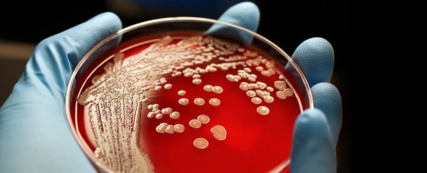 The rise of 'super bugs' just prompted a UN General Assembly meeting