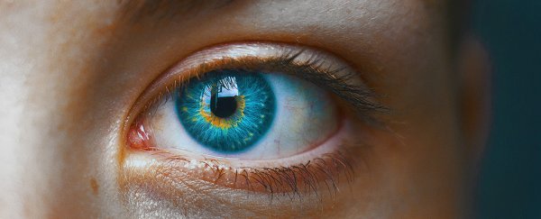 Can you train yourself to develop supersenses? Here's what science says