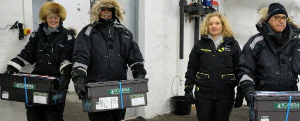 The 'doomsday' seed vault just got a bittersweet delivery of 50,000 seeds