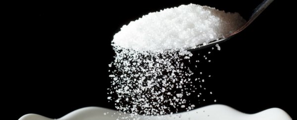 Artificial Sweeteners Bring on Glucose Intolerance And Alter Gut Microbiota