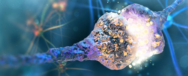 Carbon nanotubes found to be a safe bet for reconnecting neurons