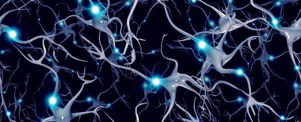 Massive study identifies single gene linked to highest schizophrenia risk for the first time