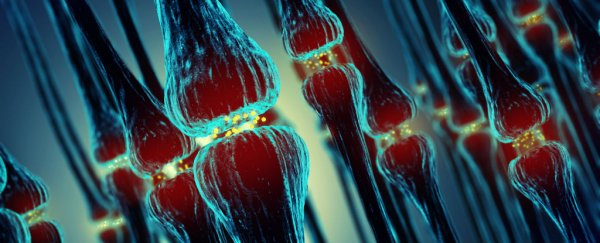 Scientists have discovered how early Alzheimer’s destroys brain connections