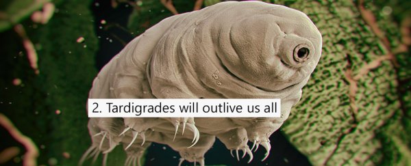 7 epic science discoveries you probably missed in 2017