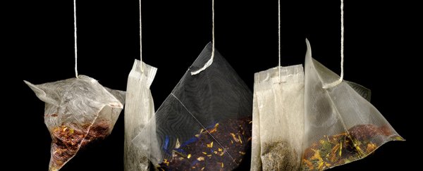 What science says about getting the most out of your tea