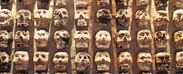 How a creepy tower of skulls is changing what we think we know about the Aztecs