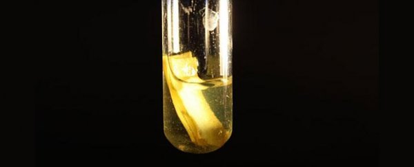 Quantum dots and sunlight could be the key to clean hydrogen energy