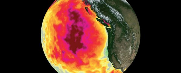 A massive 'blob' of abnormal conditions in the Pacific has increased ozone levels