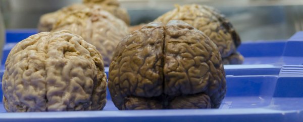 US Defence scientists have invented a brain implant that boosts memory
