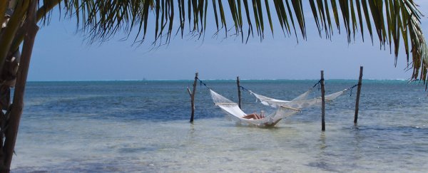 Here's how a 3-day weekend could benefit the environment