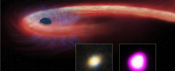 Astronomers have spotted a black hole so ravenous, it's pushing the limits of physics