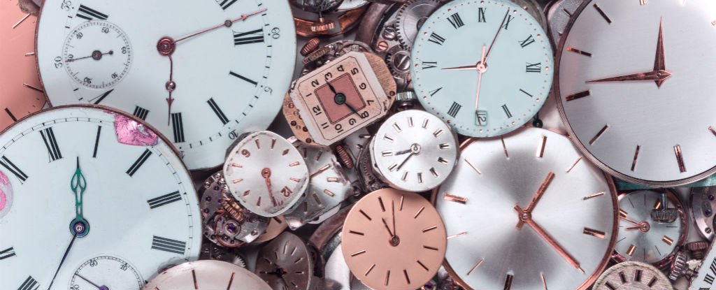 Every Single Cell in Your Body Is Controlled by Its Own Circadian Clock