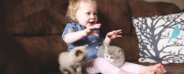 Having a cat around when you're young could help prevent asthma
