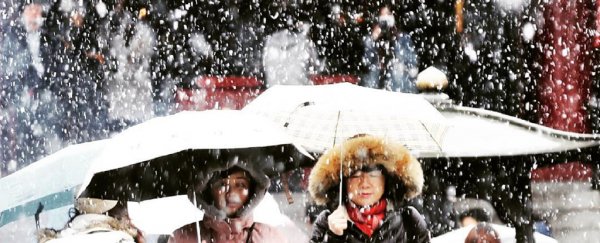 Tokyo is experiencing crazy snow in November for the first time since 1962