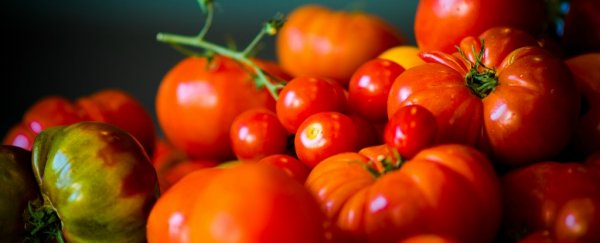 Dietitians, nutritionists, and psychologists have ranked the best diets of 2016