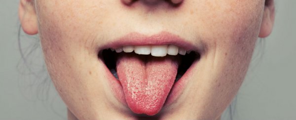 How a mistranslation made you think your tongue had 'taste zones'