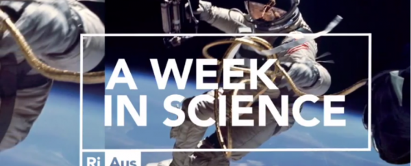 WATCH: The Top 5 Science Stories of 2014