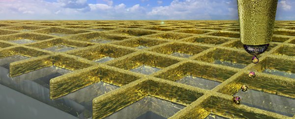 This new golden nano-grid could lead to clearer, more sensitive touchscreens