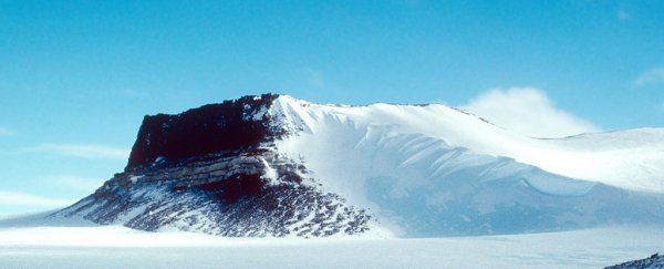 Tiny frozen fossils have revealed a worrying secret about Antarctica