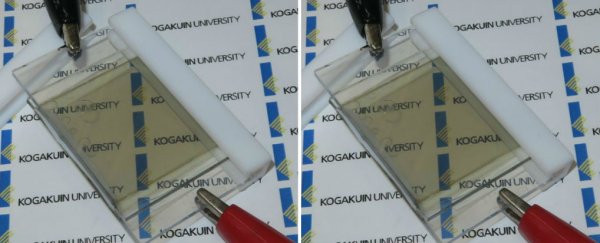 This transparent lithium-ion battery charges itself with sunlight