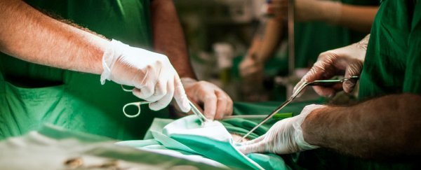 Controversial Chinese surgeon signs on to human head transplant project