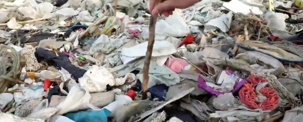A 100-tonne pile of waste has washed up on an island in Shanghai