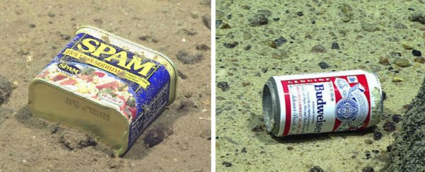 "Extraordinary" Levels of Pollution Have Been Found 10 km Deep in the Mariana Trench