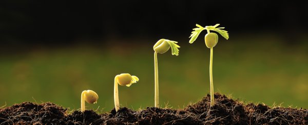 Scientists just added a shocking 20 new branches to the tree of life