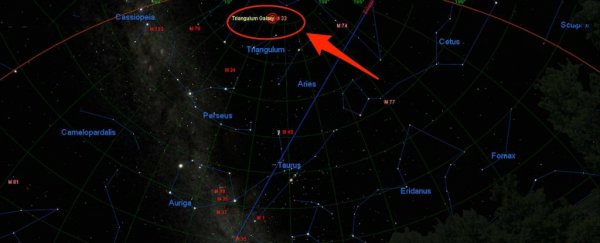 An amateur astronomer discovered a new exploding star on Christmas Day