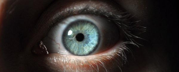 Trypophobia might not be an actual phobia, according to scientists