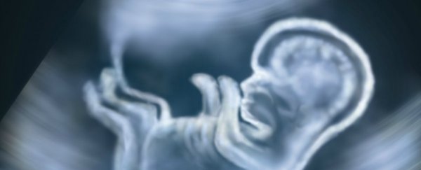 Doctors in Texas successfully transplanted a uterus from a living donor for the first time