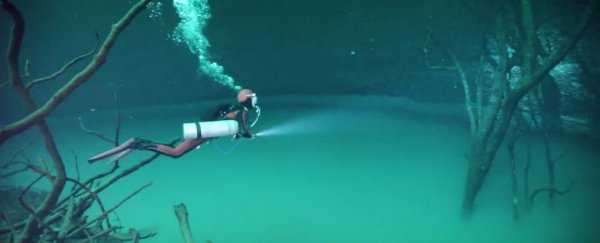 Divers are exploring this giant underwater river, shrouded in a cloud of toxic gas