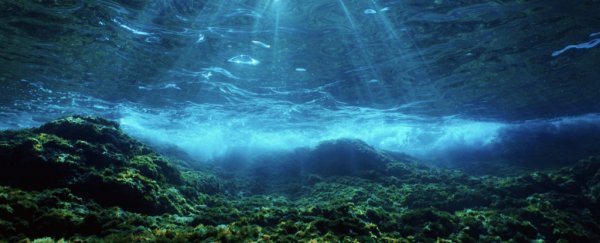 Scientists have finally caught the eerie hum of Earth deep under the sea