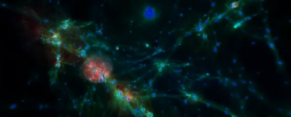 The Multiverse could be teeming with life but is also problematic, says new study